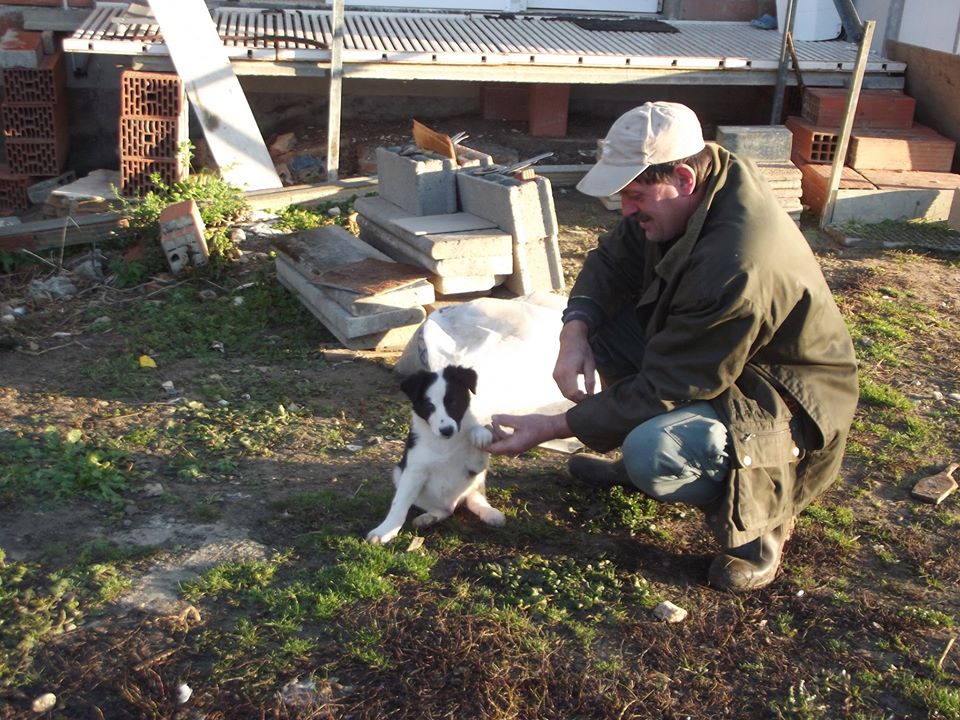 La Ferme au Carrau - Produits fermiers et laitiers bio du Gers