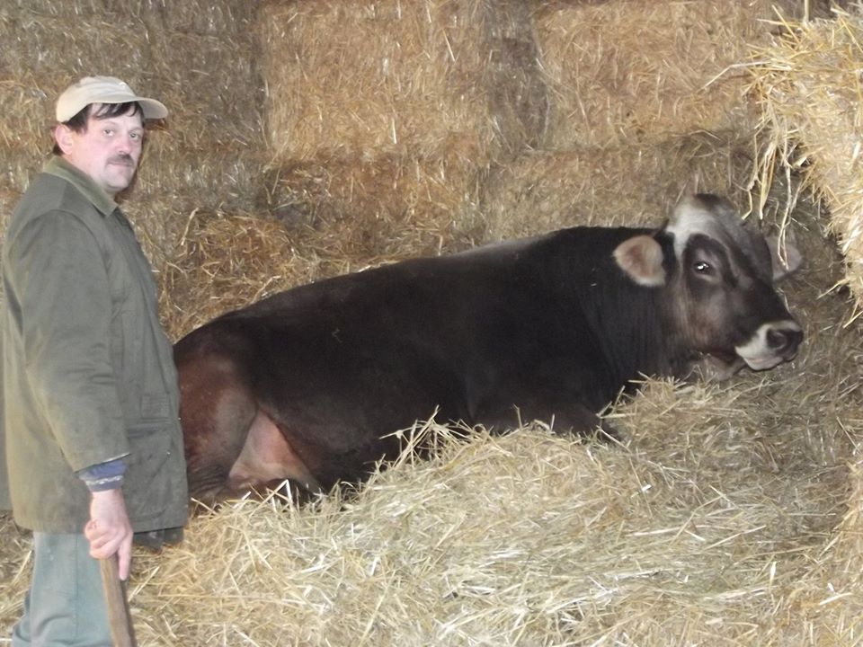 La Ferme au Carrau - Produits fermiers et laitiers bio du Gers